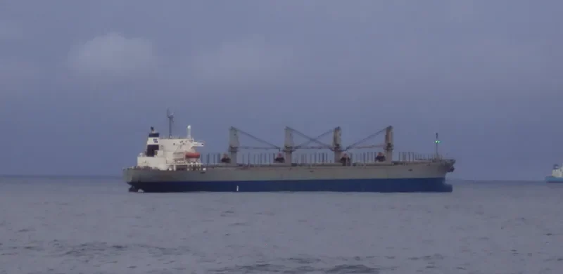 DOOYANG JEJU Bulk Carrier IMO 9257797 photo 9