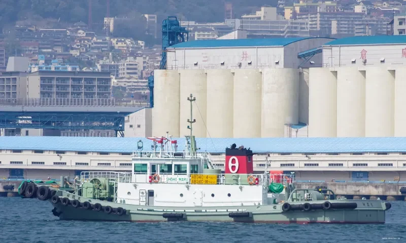 SENHO MARU General Cargo IMO 9257890 photo 7