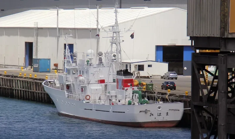 MIHAMA General Cargo IMO 9258052 photo 2