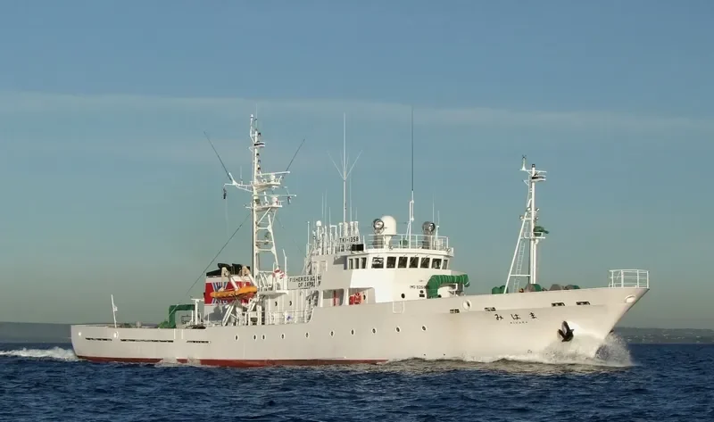 MIHAMA General Cargo IMO 9258052 photo 5