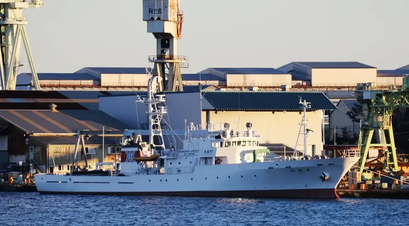 MIHAMA General Cargo IMO 9258052 photo 9