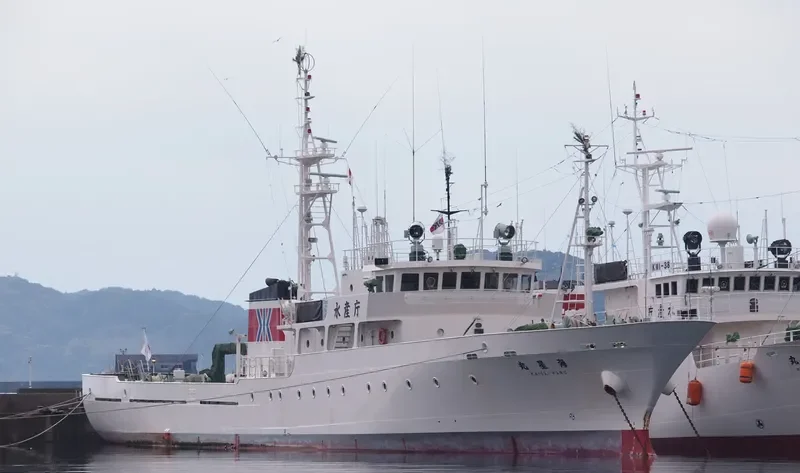 KAISEI MARU General Cargo IMO 9258076