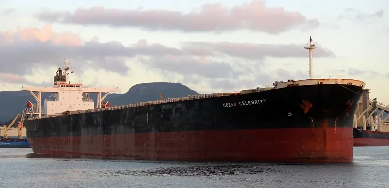 OCEAN LEO Bulk Carrier IMO 9258117 photo 2