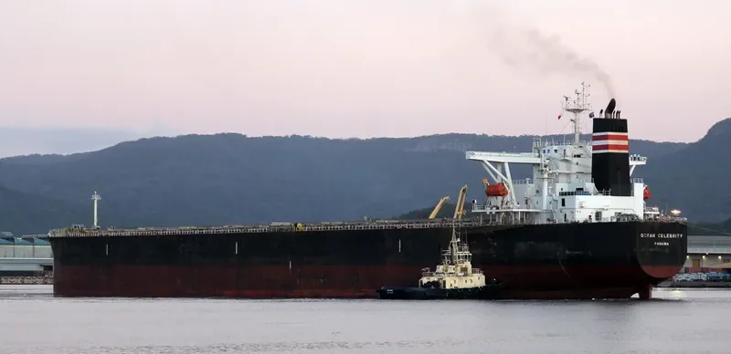 OCEAN LEO Bulk Carrier IMO 9258117 photo 3