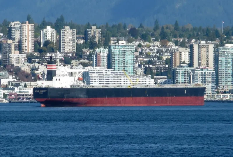 OCEAN LEO Bulk Carrier IMO 9258117 photo 4