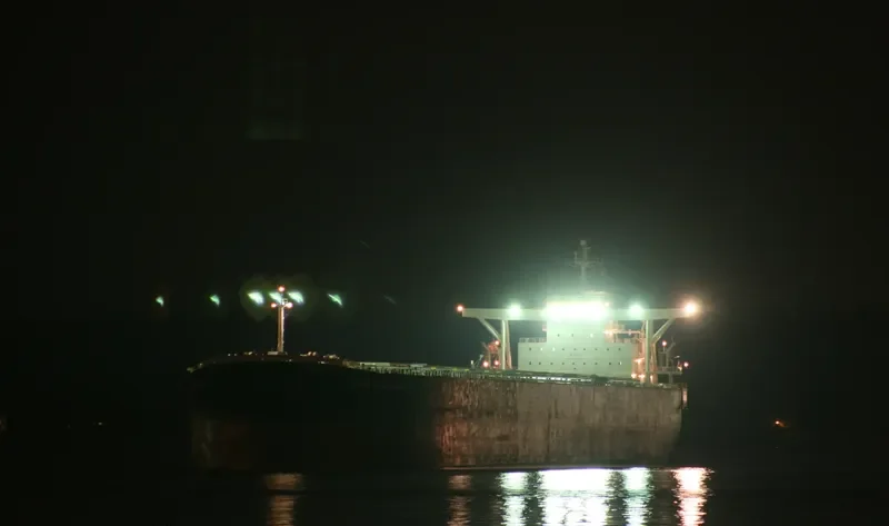 OCEAN LEO Bulk Carrier IMO 9258117 photo 8
