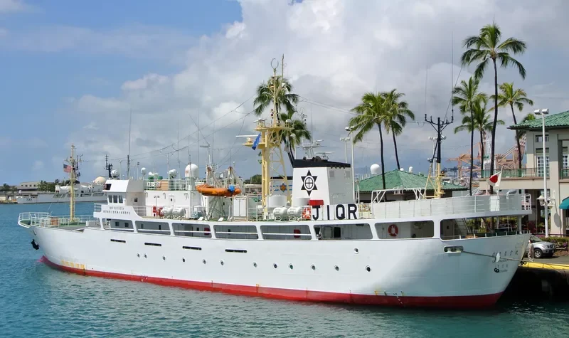 SATSUMASEIUN MARU General Cargo IMO 9258258 photo 6