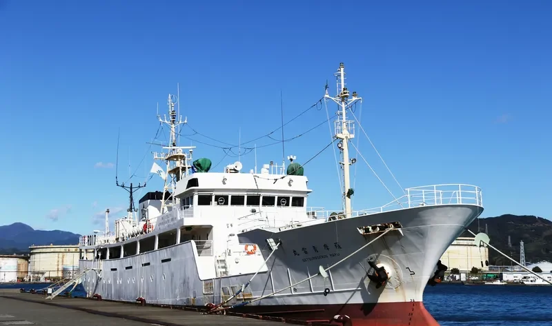 SATSUMASEIUN MARU General Cargo IMO 9258258 photo 9