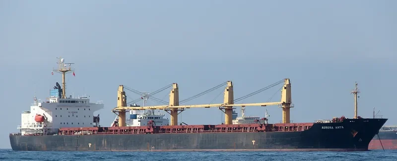 ANTA Bulk Carrier IMO 9258337 photo 2