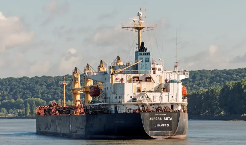 ANTA Bulk Carrier IMO 9258337 photo 3