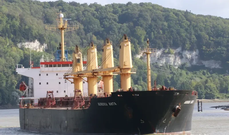 ANTA Bulk Carrier IMO 9258337 photo 4