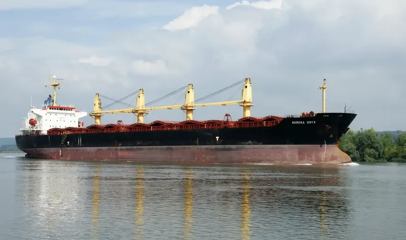 ANTA Bulk Carrier IMO 9258337 photo 5