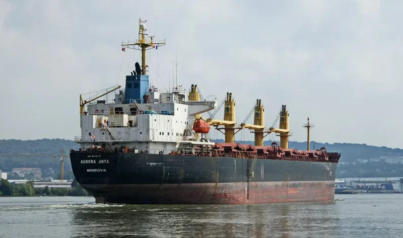 ANTA Bulk Carrier IMO 9258337 photo 6