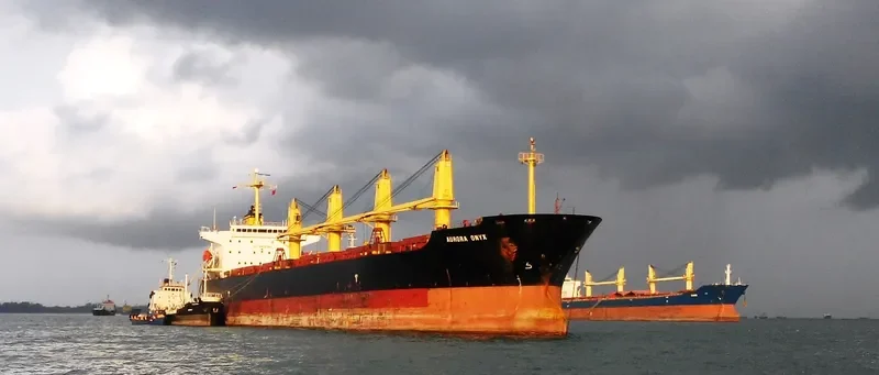 ANTA Bulk Carrier IMO 9258337 photo 9