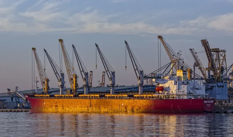 NEW ISLAND Bulk Carrier IMO 9258349 photo 4