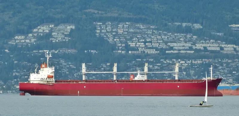NEW ISLAND Bulk Carrier IMO 9258349 photo 5