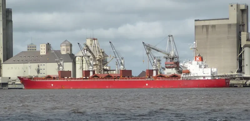 NEW ISLAND Bulk Carrier IMO 9258349 photo 8