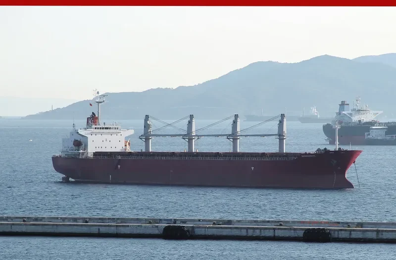 NEW ISLAND Bulk Carrier IMO 9258349 photo 10