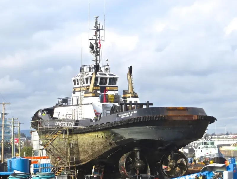 MILLENNIUM DAWN General Cargo IMO 9258791 photo 4
