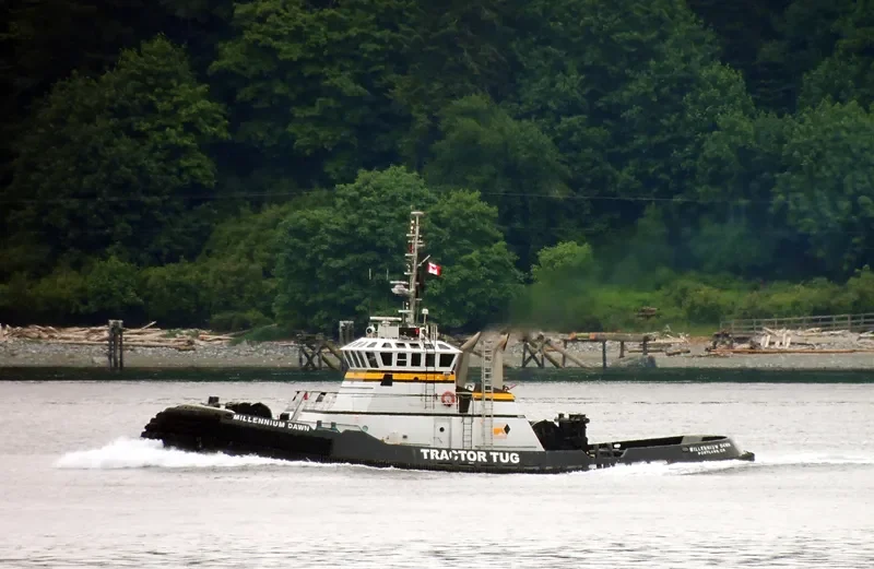 MILLENNIUM DAWN General Cargo IMO 9258791 photo 8