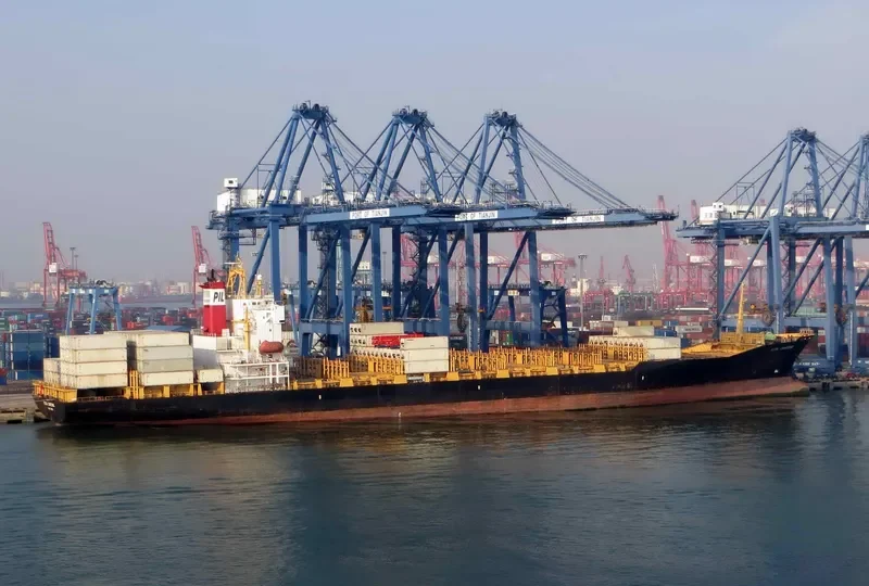 MSC SOTIRIA III Container Ship IMO 9259393 photo 3