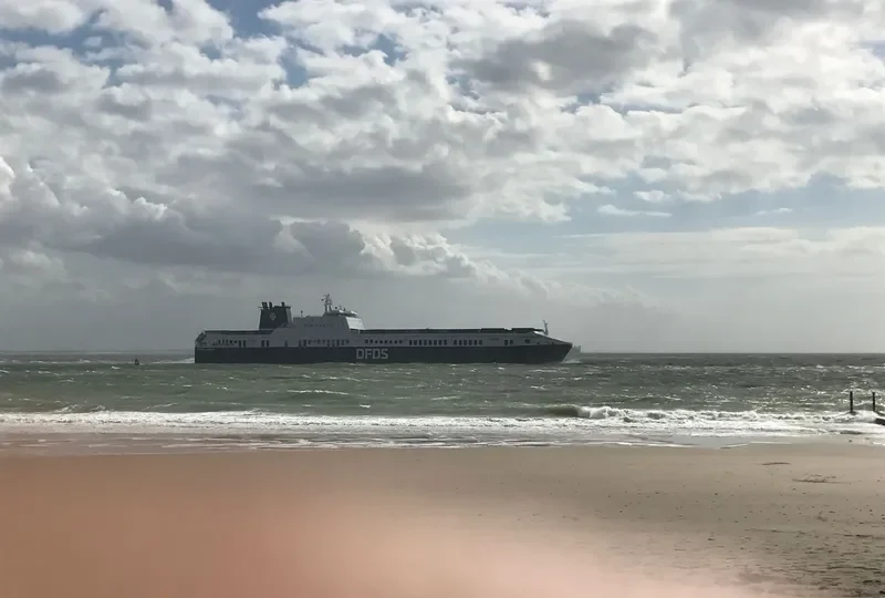 PRIMULA SEAWAYS Ro-Ro IMO 9259513 photo 9