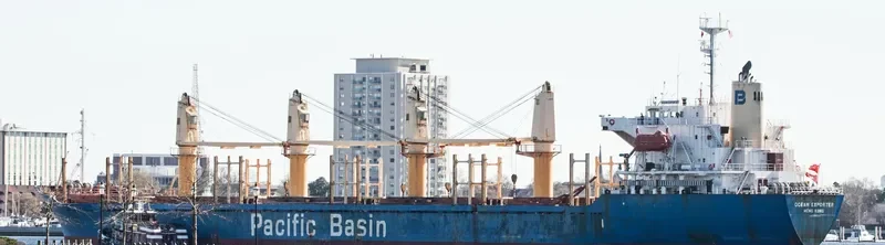 WAN HONG Bulk Carrier IMO 9260304 photo 3