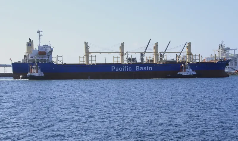 WAN HONG Bulk Carrier IMO 9260304 photo 8