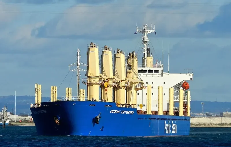WAN HONG Bulk Carrier IMO 9260304 photo 10