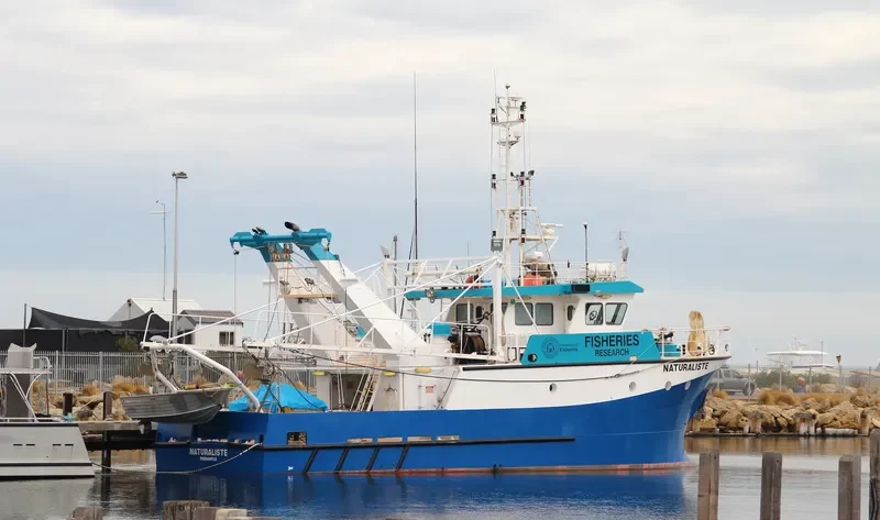 NATURALISTE General Cargo IMO 9260598