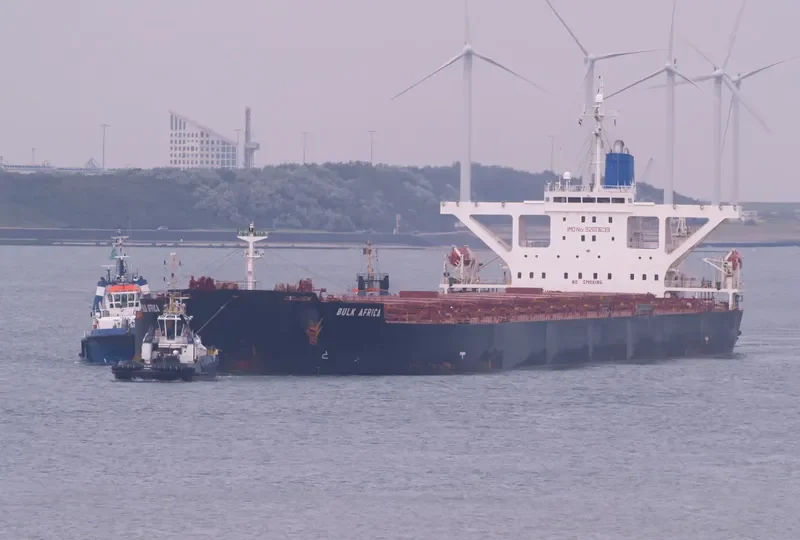 SEACON BRAZIL Bulk Carrier IMO 9260639 photo 8