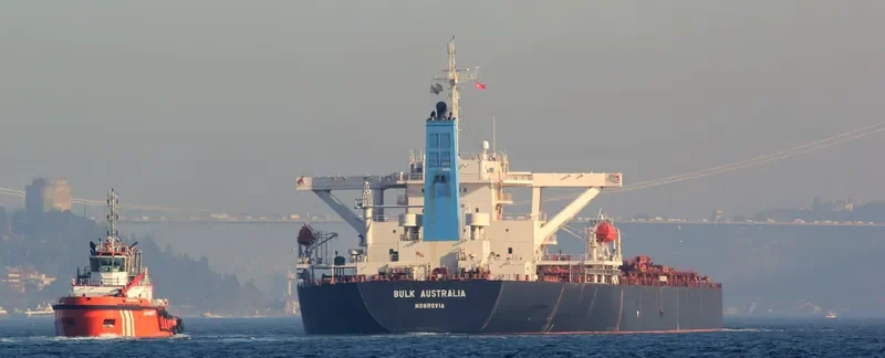 NEW LEONIDAS Bulk Carrier IMO 9260641 photo 2