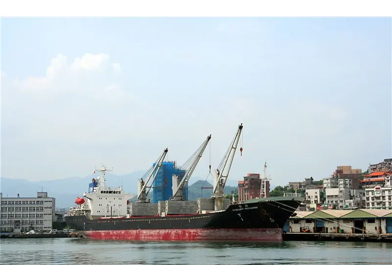 MAXIMUS I Bulk Carrier IMO 9260653 photo 9