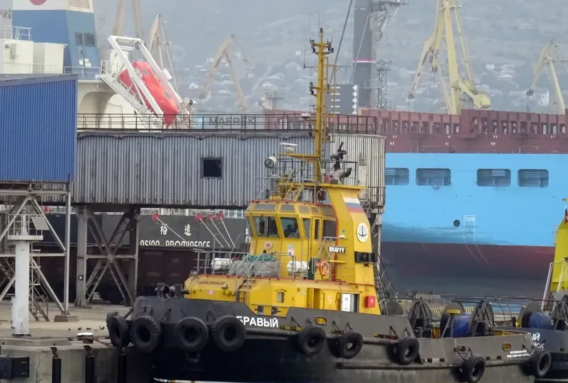 BRAVYY General Cargo IMO 9260926 photo 10
