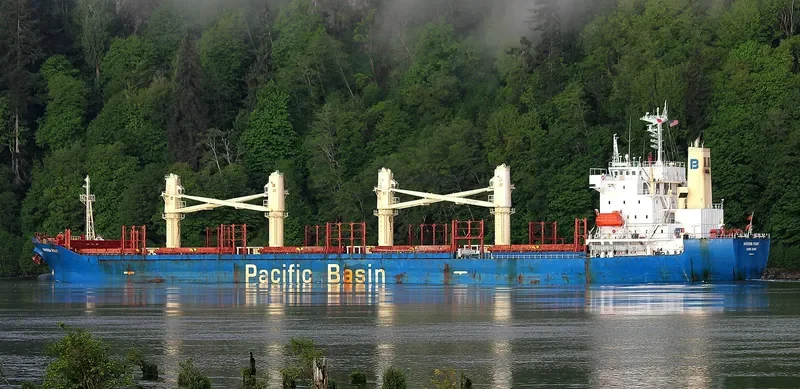 MARSDEN POINT Bulk Carrier IMO 9261750 photo 3