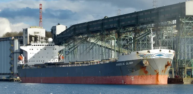 ERICA Bulk Carrier IMO 9261798 photo 5