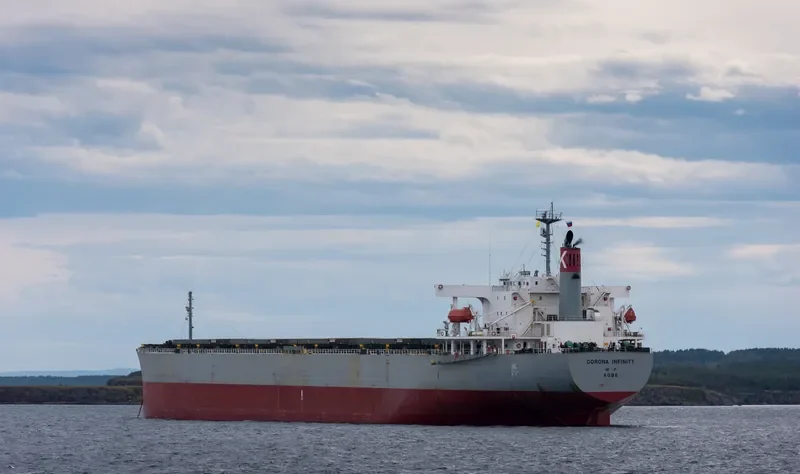 CORONA INFINITY Bulk Carrier IMO 9261932 photo 9