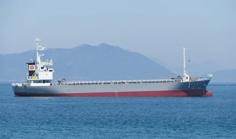 SHIN TSUNETOYO MARU General Cargo IMO 9262247