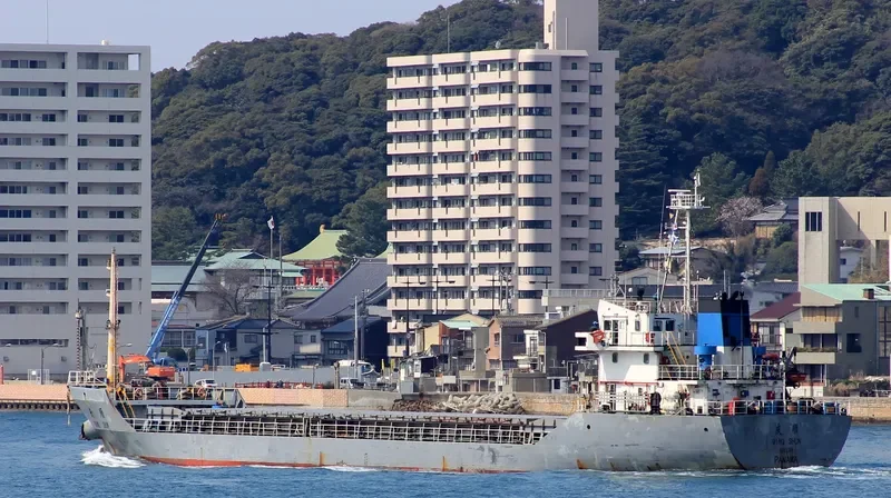 QING SHUN Bulk Carrier IMO 9262364 photo 4