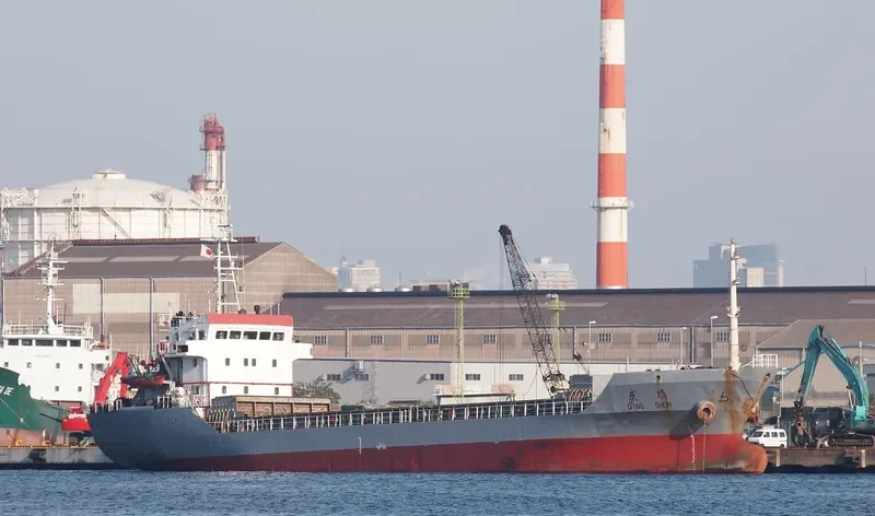 QING SHUN Bulk Carrier IMO 9262364 photo 6