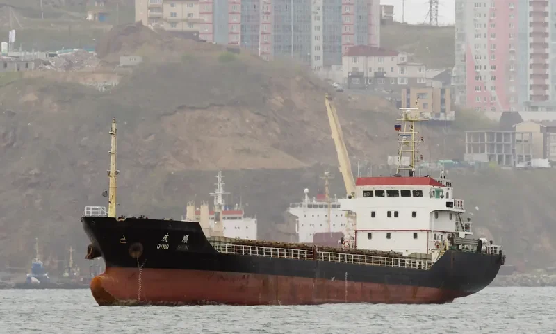 QING SHUN Bulk Carrier IMO 9262364 photo 8