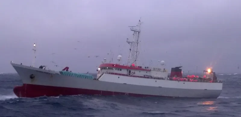 GLOBALPESCA I General Cargo IMO 9262376 photo 2