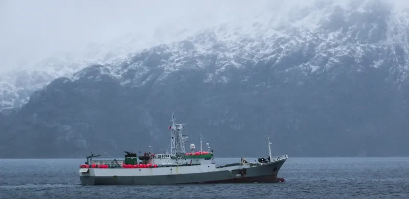 GLOBALPESCA II General Cargo IMO 9262388