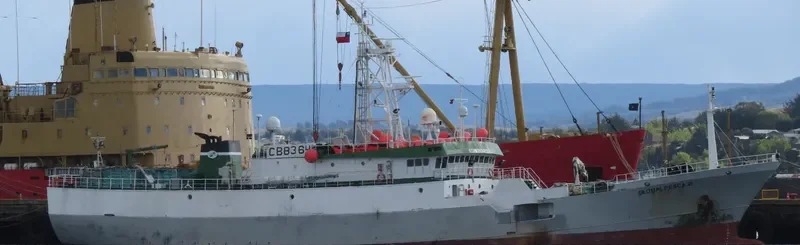 GLOBALPESCA II General Cargo IMO 9262388 photo 4