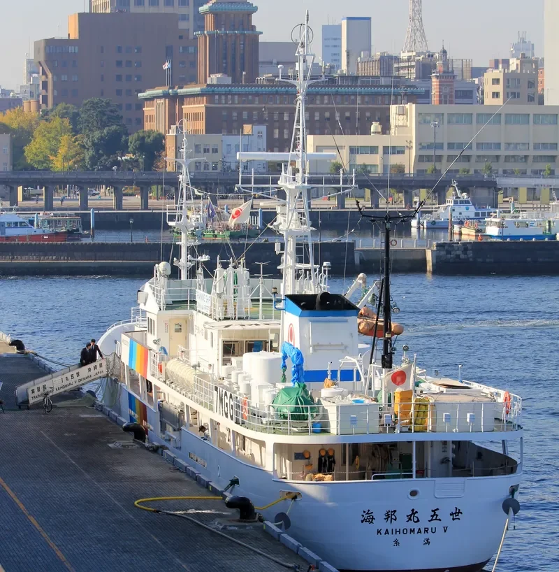 KAIHOU MARUV General Cargo IMO 9262479 photo 2