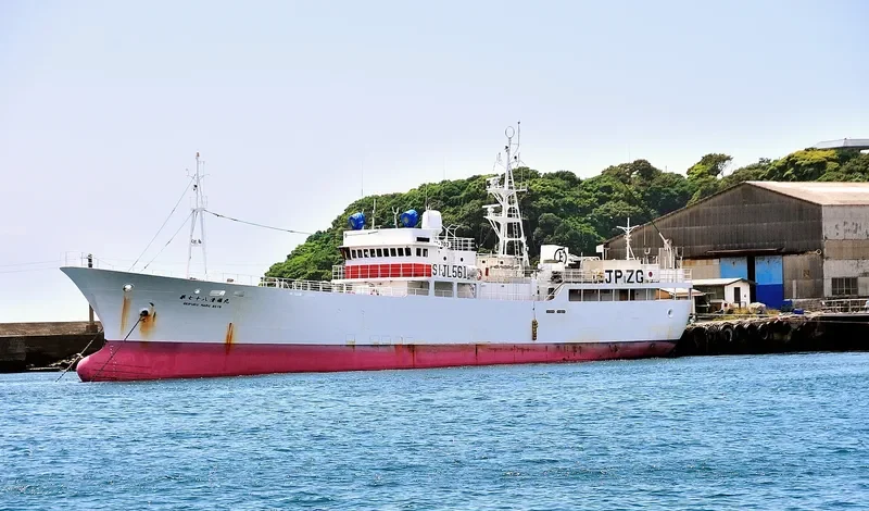 SEIFUKU MARU NO.78 General Cargo IMO 9262792 photo 2