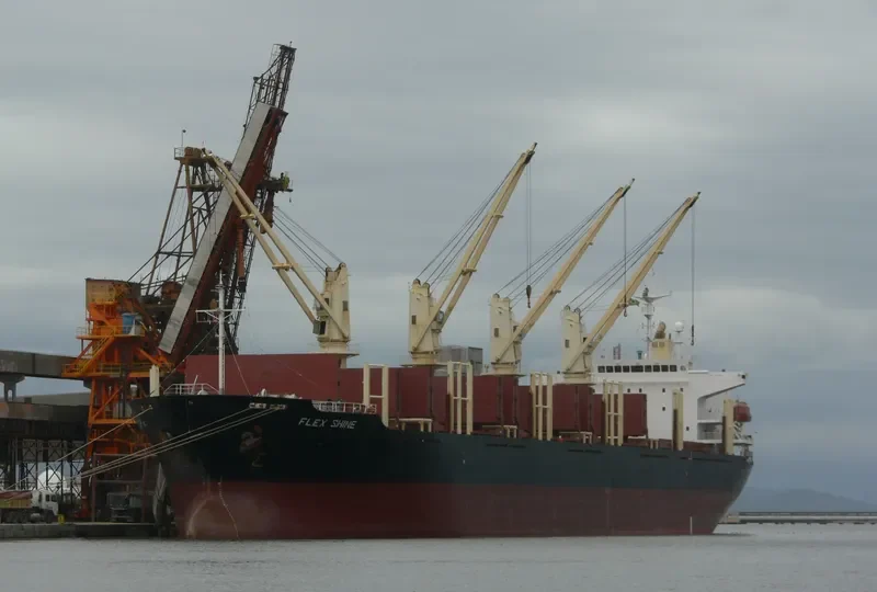 GOLDEN BRIGHT Bulk Carrier IMO 9262986