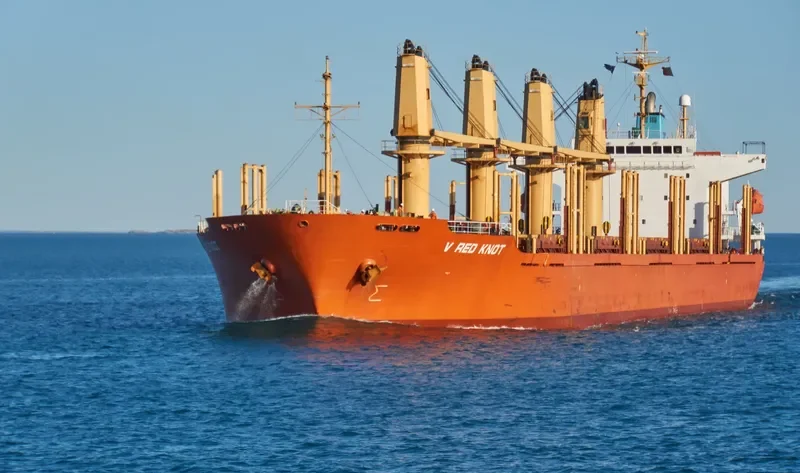 GOLDEN BRIGHT Bulk Carrier IMO 9262986 photo 6