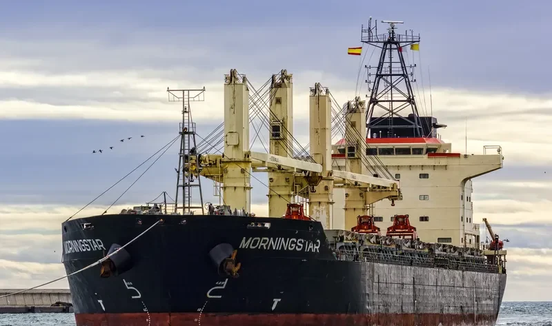 MORNINGSTAR Bulk Carrier IMO 9263069 photo 2