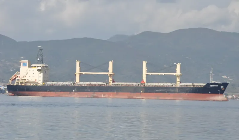MORNINGSTAR Bulk Carrier IMO 9263069 photo 5